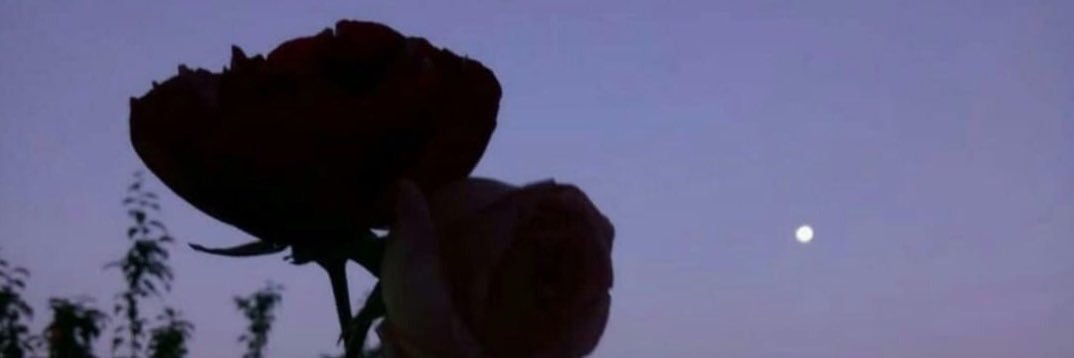 r banner
