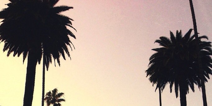 Sounney's profile banner image