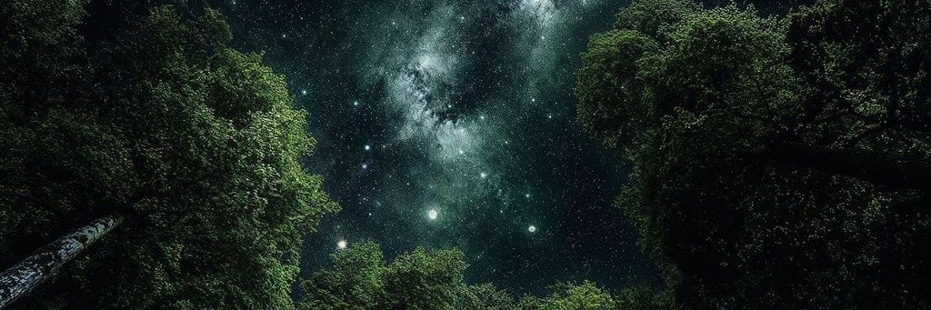 ditopee's profile banner image