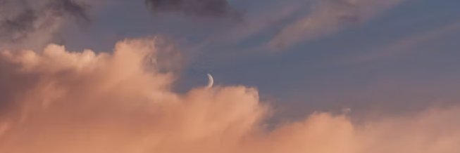 Ivy Lowell banner