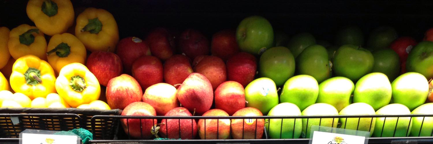 Dr. Carly Goldstein banner