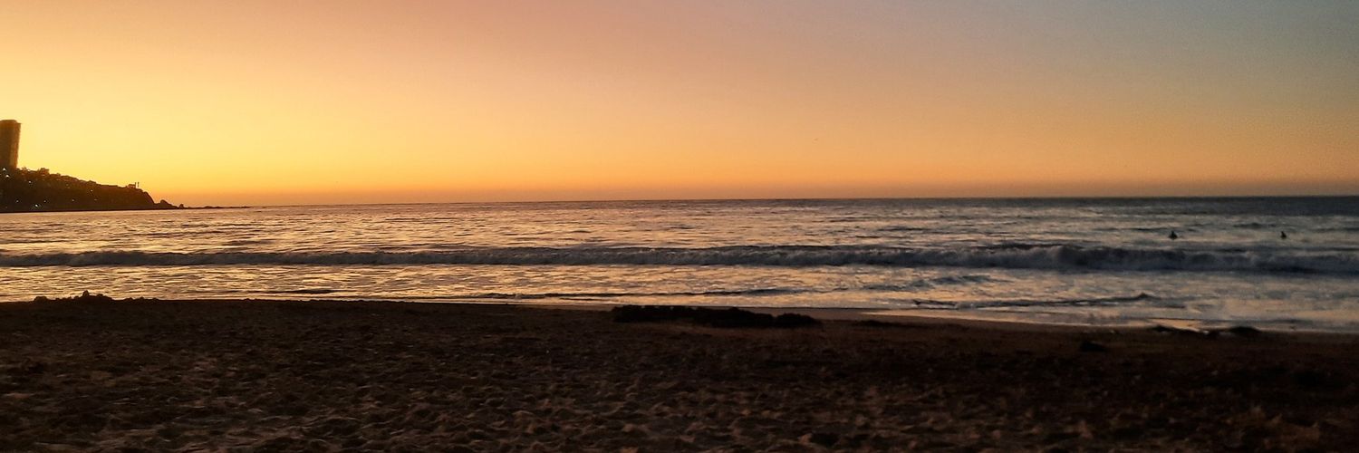 CanisVulgarius's profile banner image