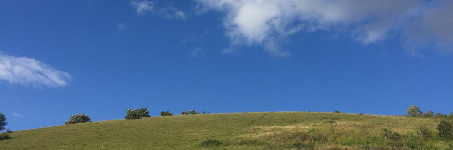 Madeleine banner