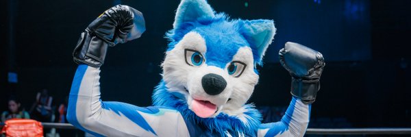 huskgen Profile Banner