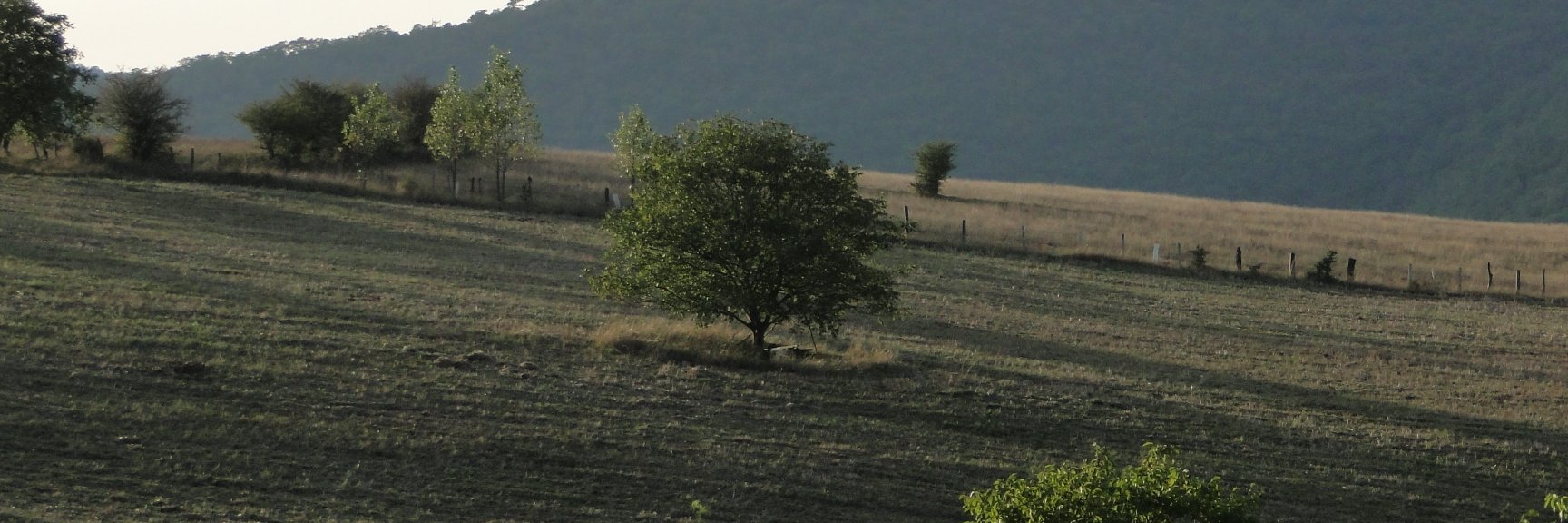 moytaba's profile banner image