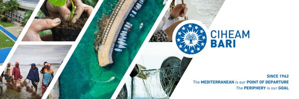 CIHEAMBari Profile Banner