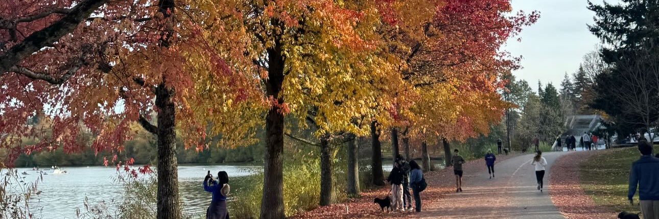 manhattanmuse's profile banner image