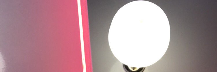 Traynorxo's profile banner image