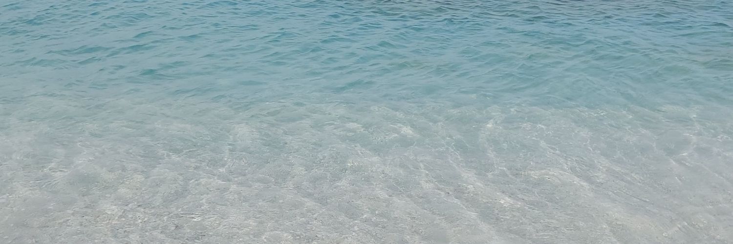 ssadeceesenn's profile banner image
