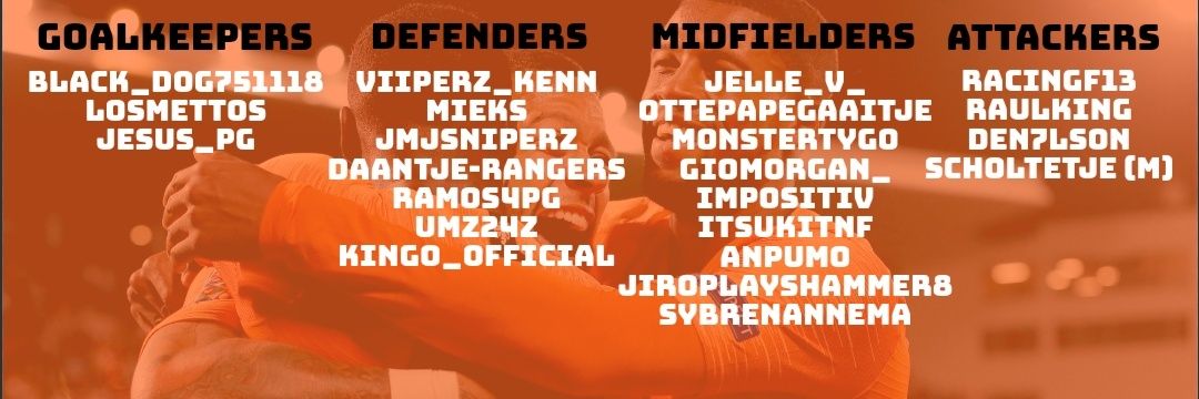 VFL Netherlands PS4 banner