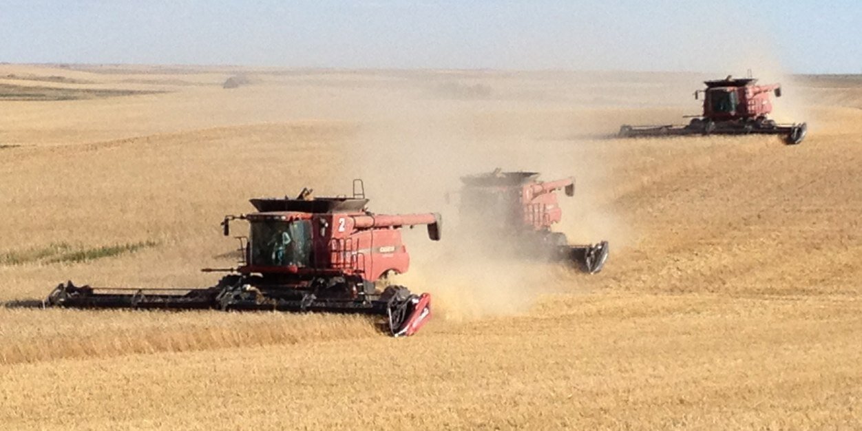 Robert Rigetti banner