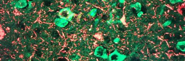 BachstetterLab Profile Banner