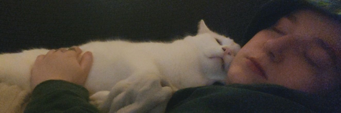 HannahCathy222's profile banner image