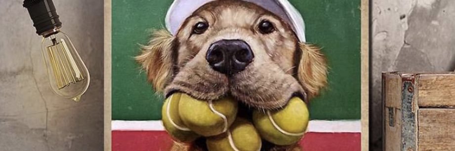 grhodes63's profile banner image