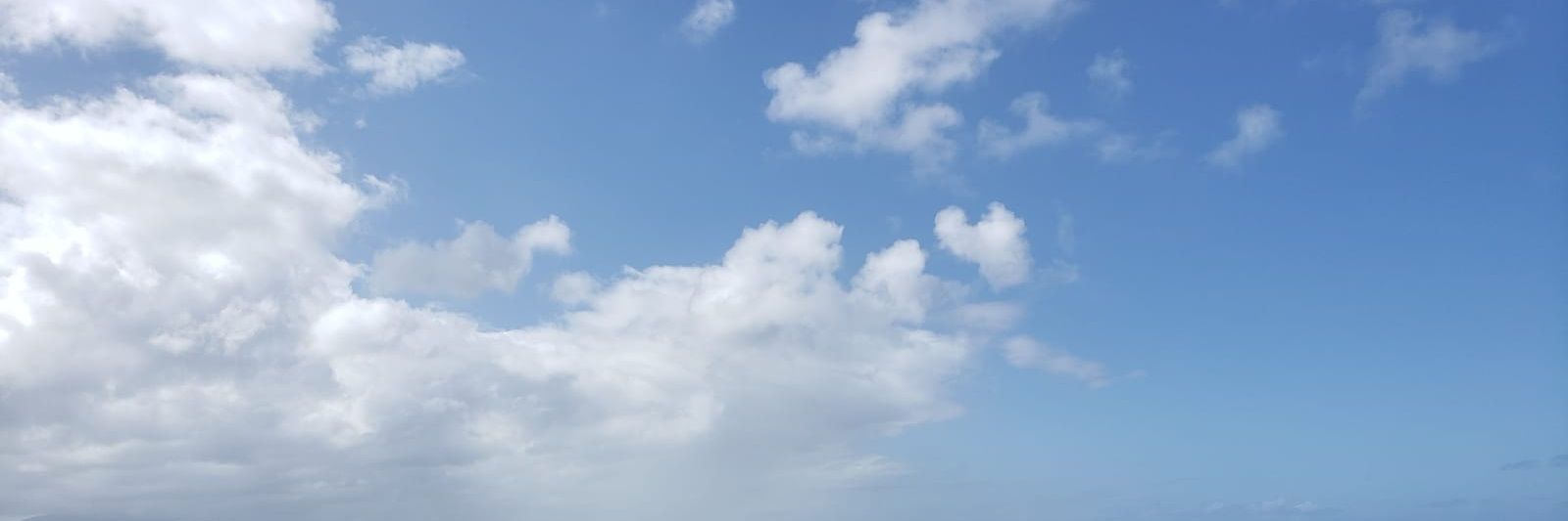 CanitasCon's profile banner image
