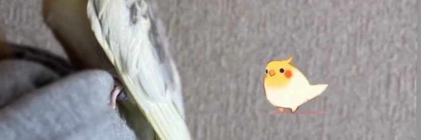 みい banner