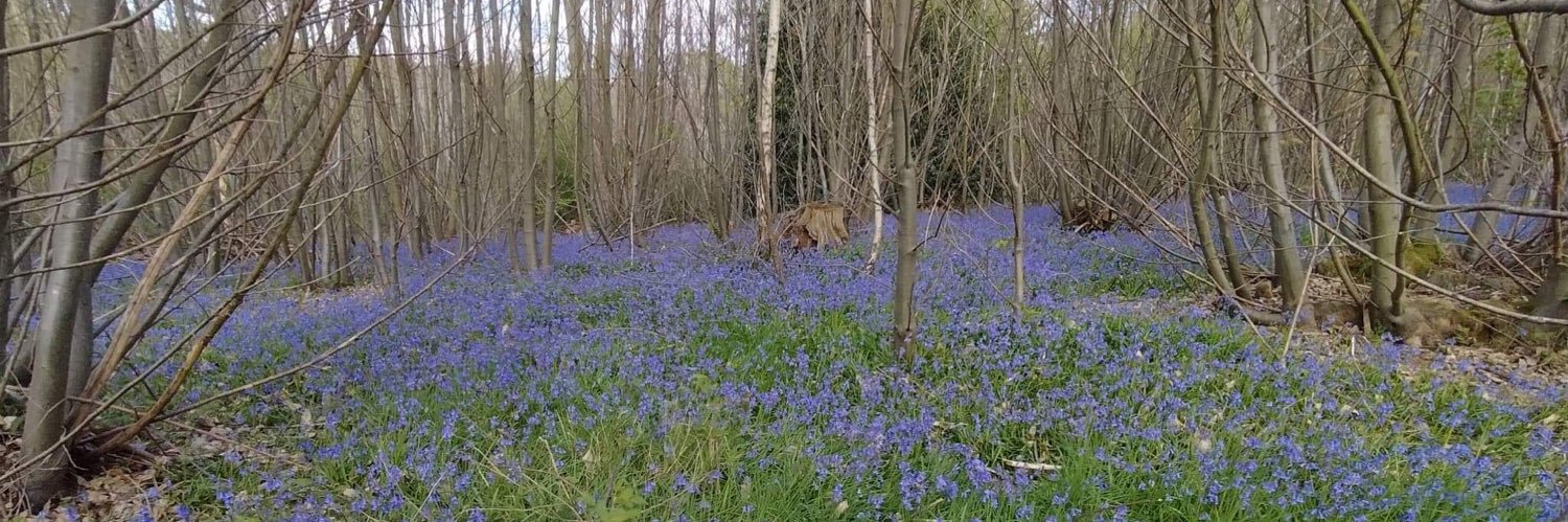 Michael Minta banner