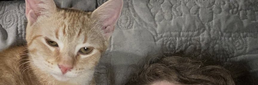 🤩 banner