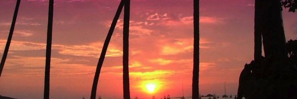 Daedalus622 Profile Banner