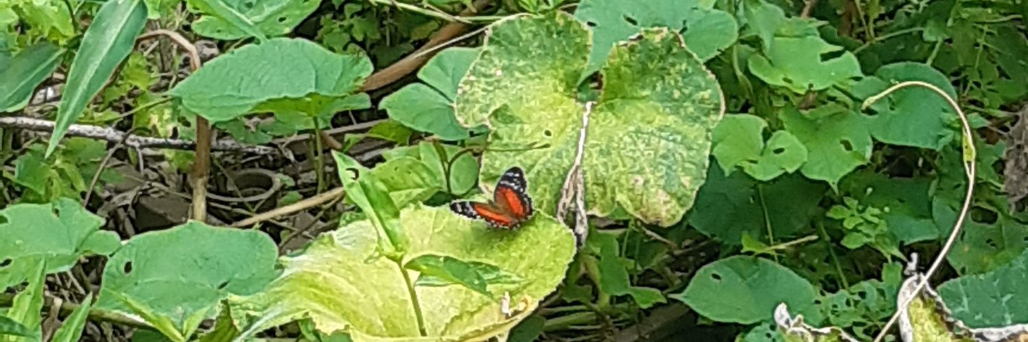 END ZIONISM, FREE PALESTINE banner