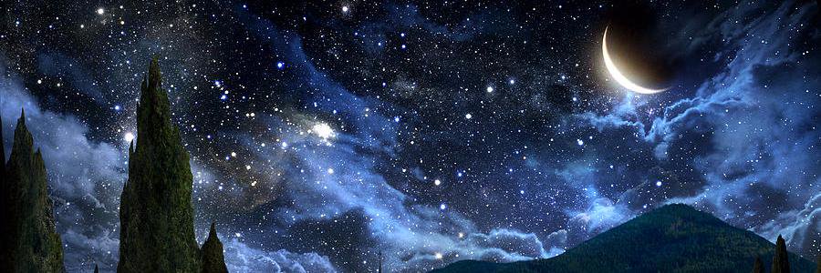greyrevell's profile banner image
