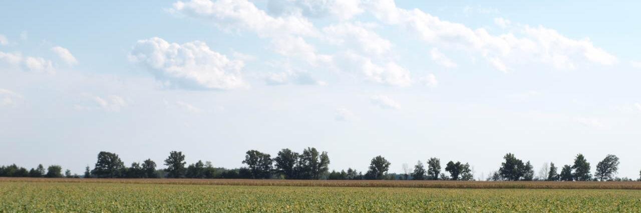 CaseyNidlinger's profile banner image