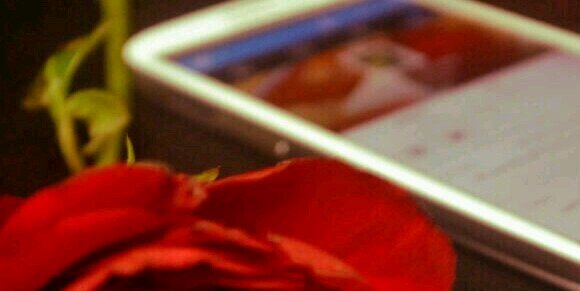 orgnaiz's profile banner image
