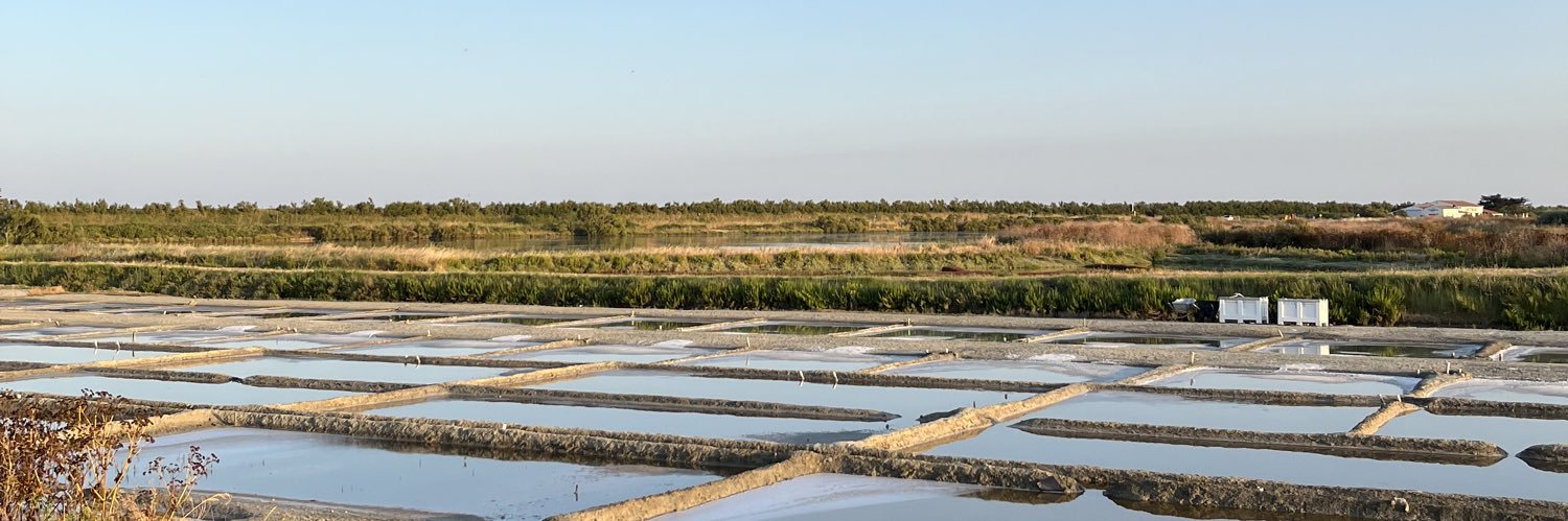 Mathis Beautrais banner