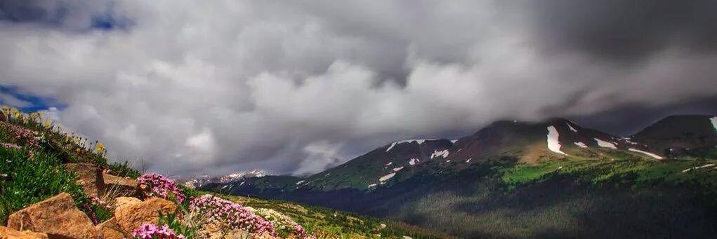D_S44D's profile banner image