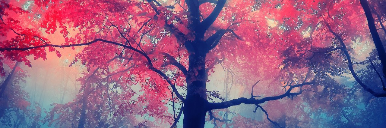 megandy26's profile banner image