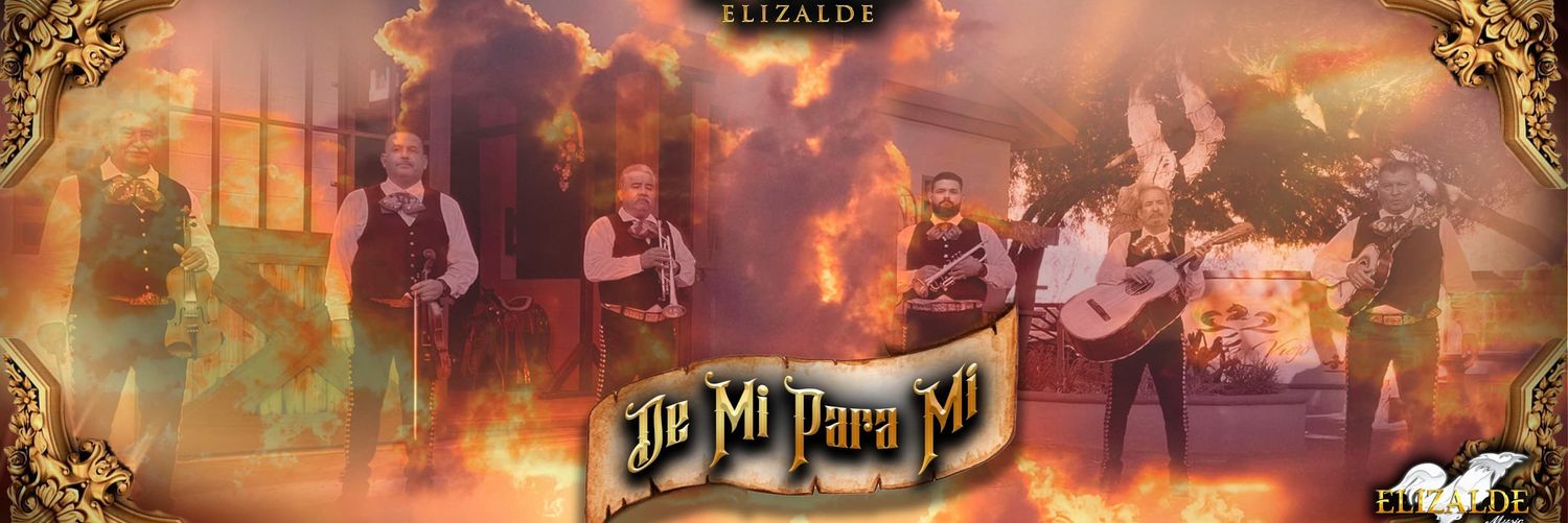 flacoelizalde's profile banner image