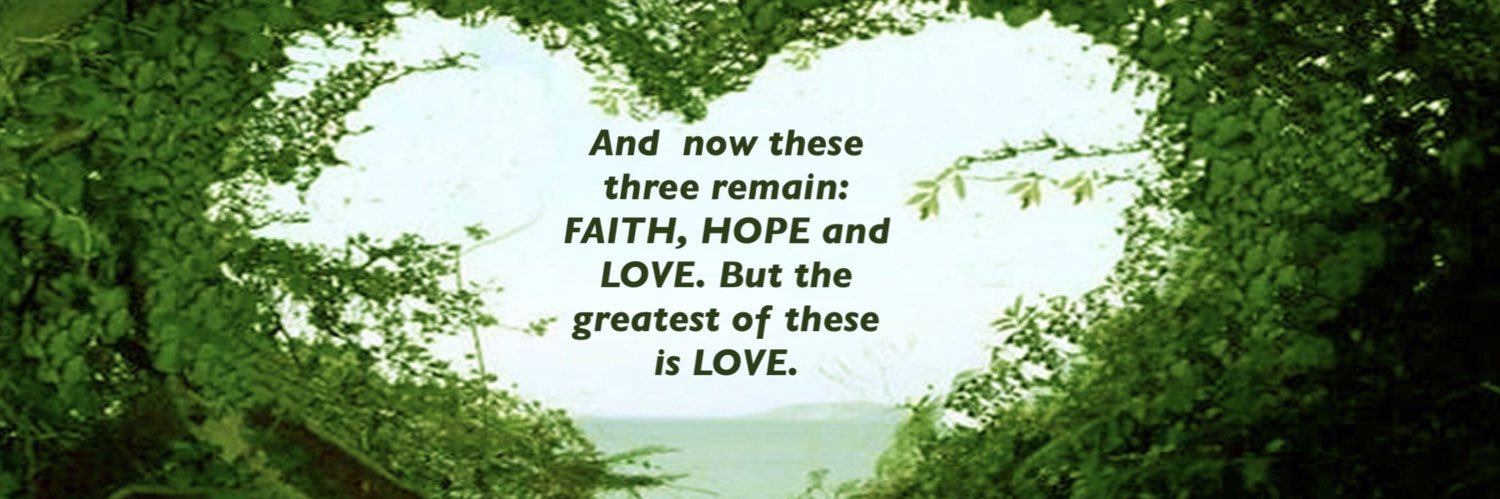 mms0306's profile banner image