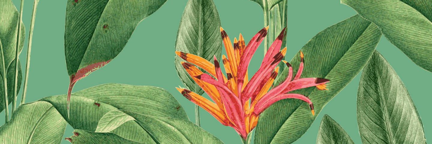 Fernando Méndez banner