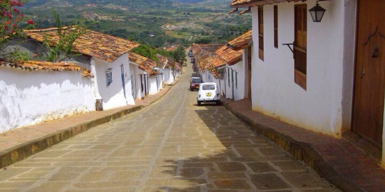 Sinead O Sullivan banner