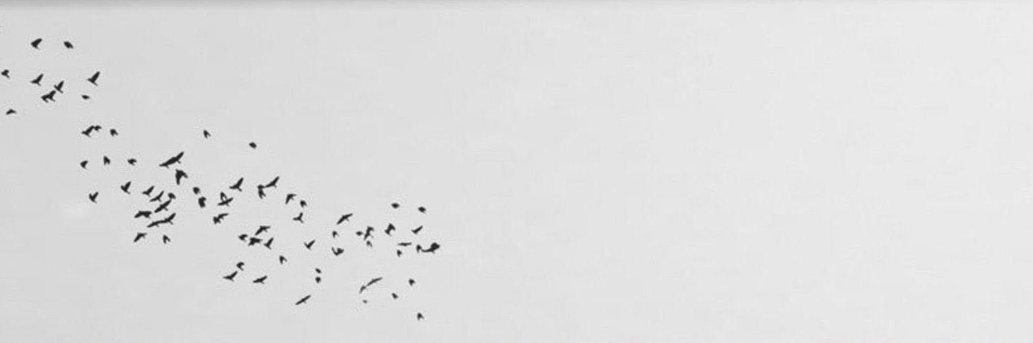 _Vll95's profile banner image