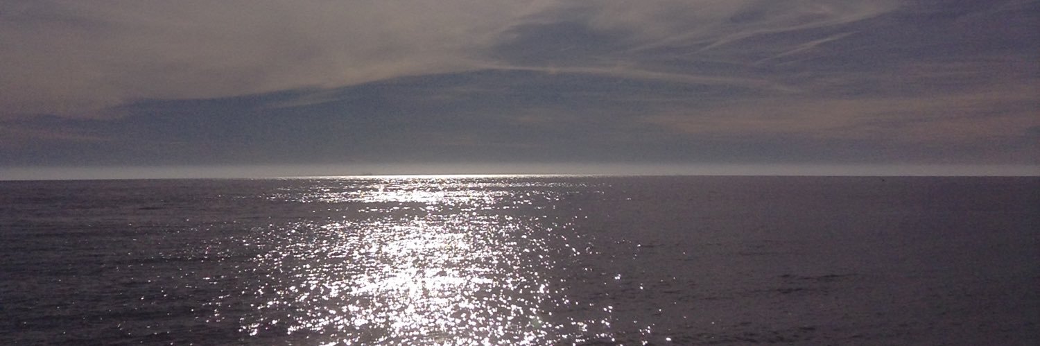 Suzanne Farg banner