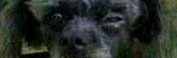 daviduartec's profile banner image