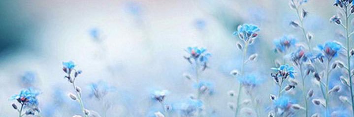 Kenziecourter's profile banner image