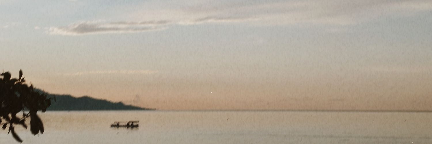 widdw's profile banner image