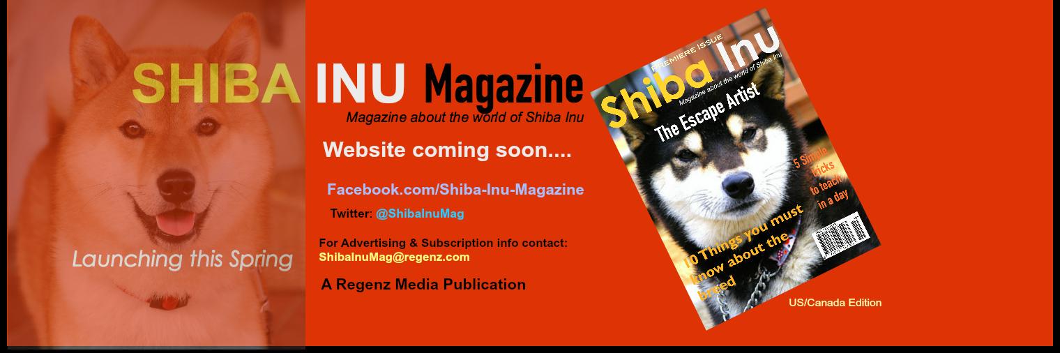 ShibaInumag's profile banner image