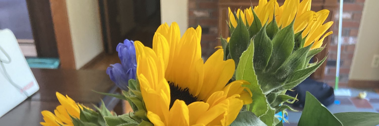 chrislpurple's profile banner image
