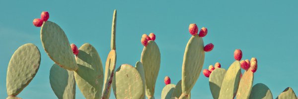 FaustoGernone Profile Banner