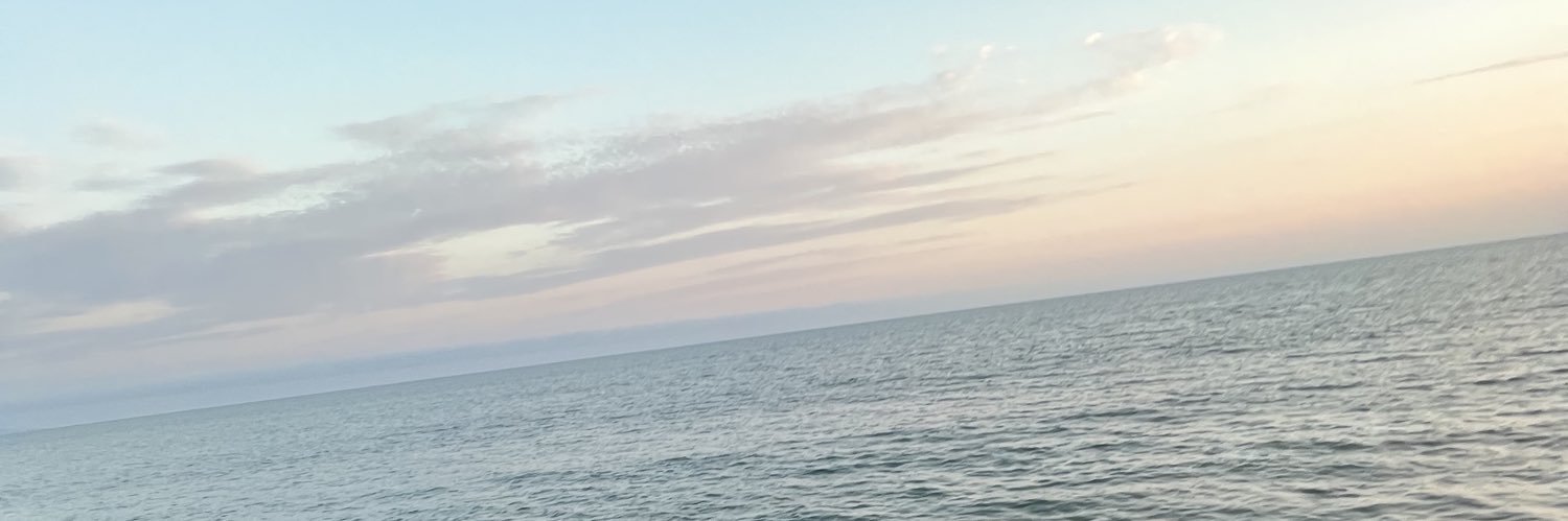 rohiinn's profile banner image