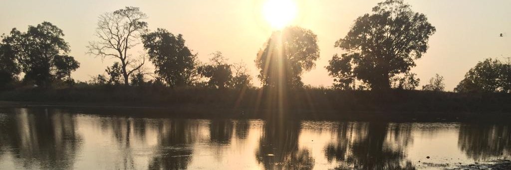 p_paliwal's profile banner image