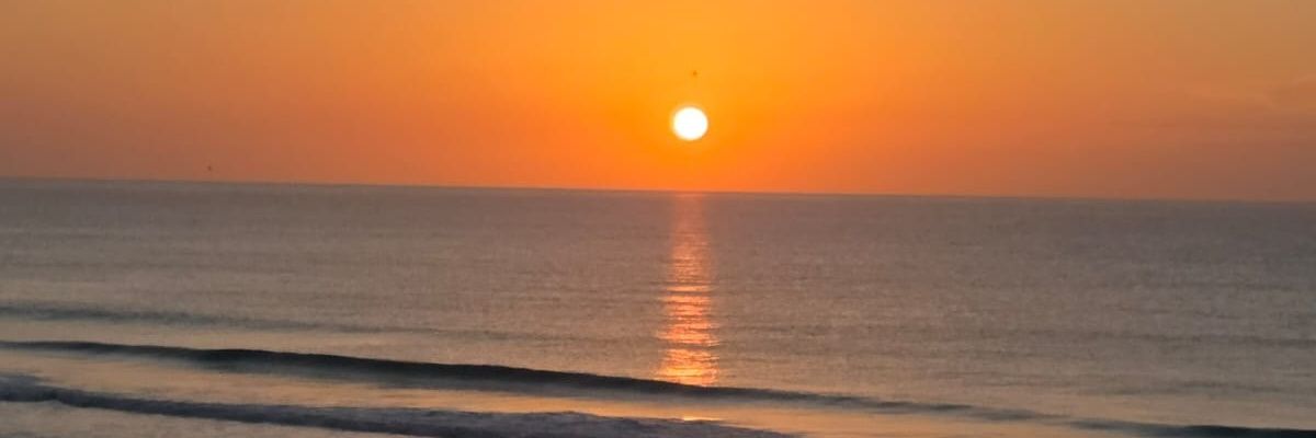 drv_sara's profile banner image