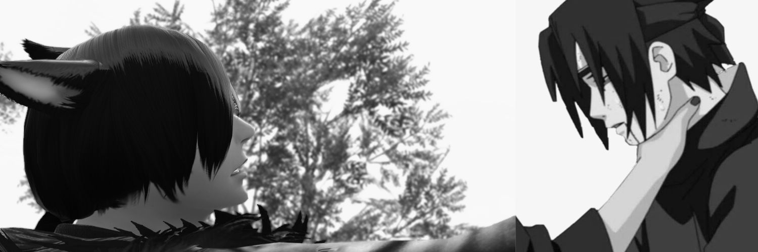 Air_Dudex's profile banner image