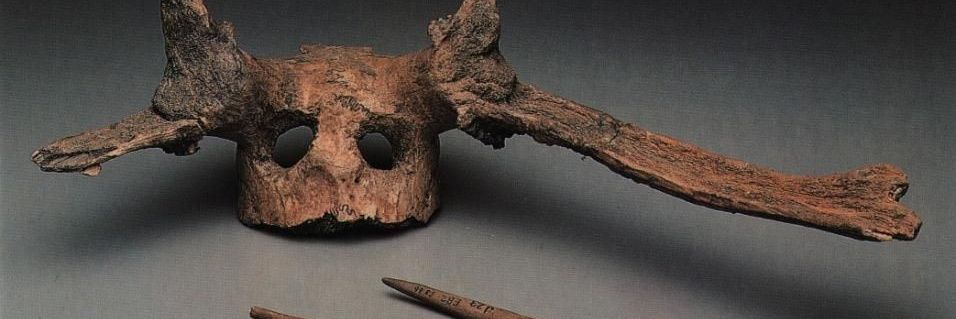 Mesolithic Magpie banner