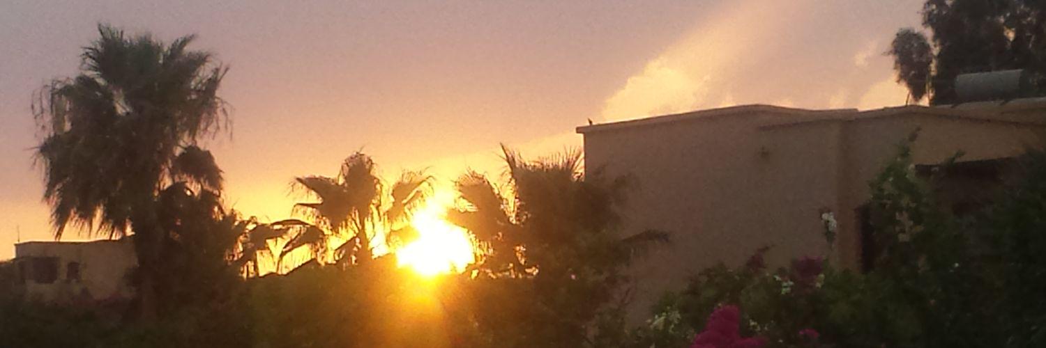 lew_clew's profile banner image