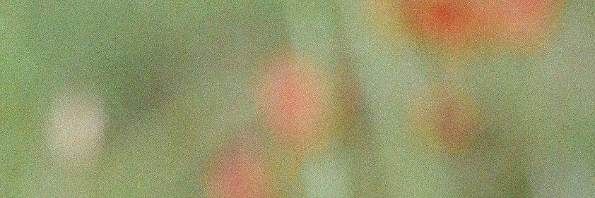 demodara's profile banner image