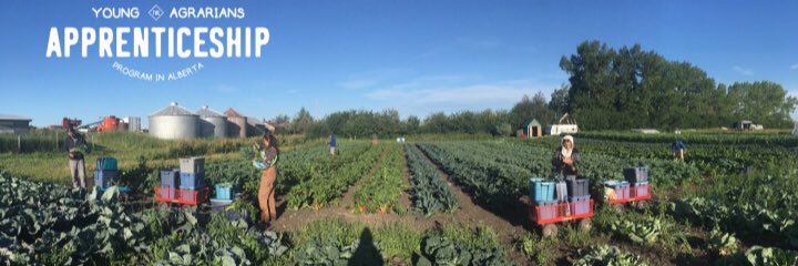 blumtbiodynamic's profile banner image
